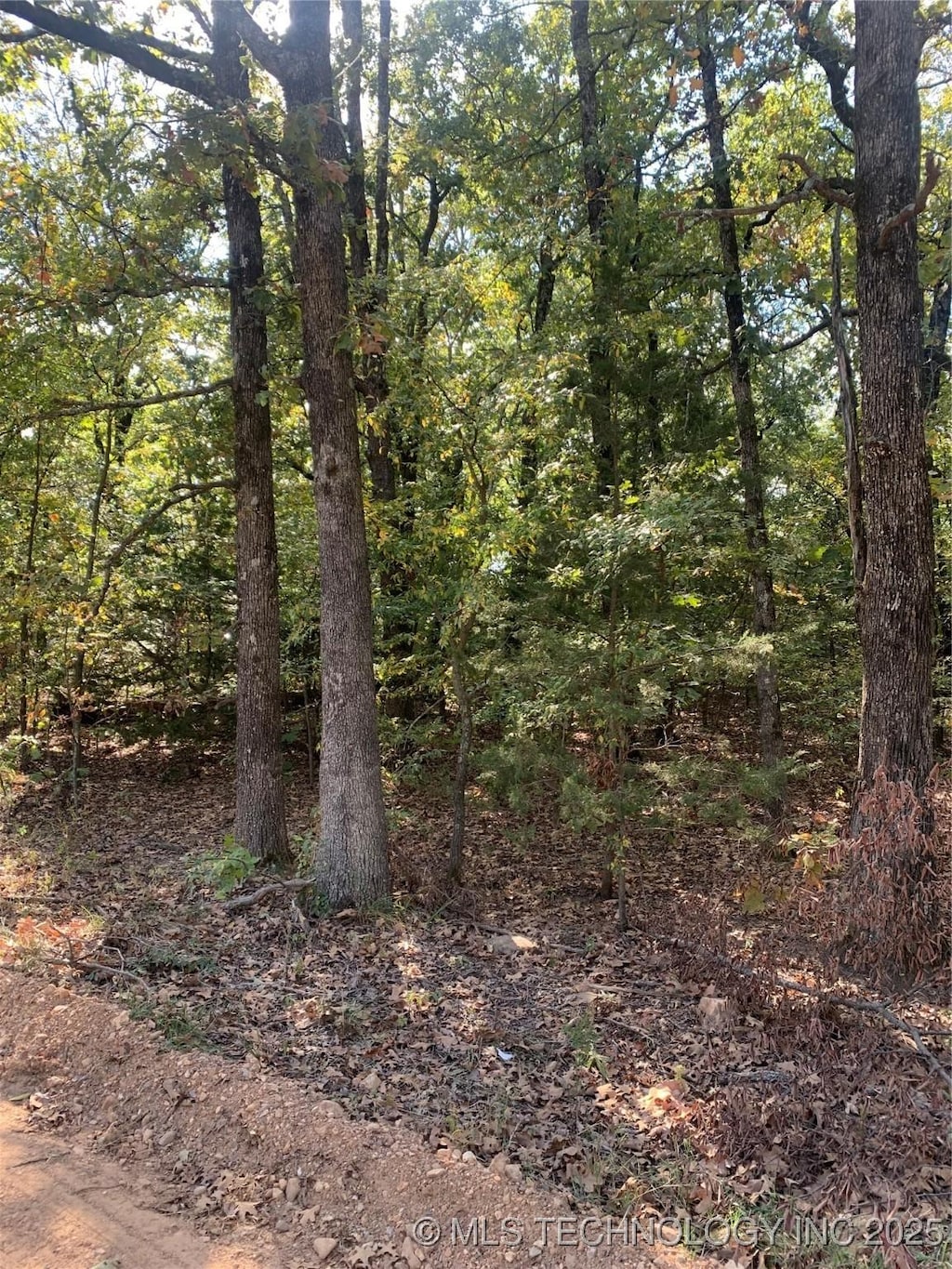 S 4530 Road, Vian, OK 74962