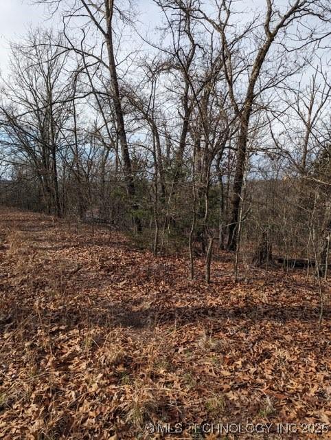 4550 4550 Rd, Vian, OK 74962