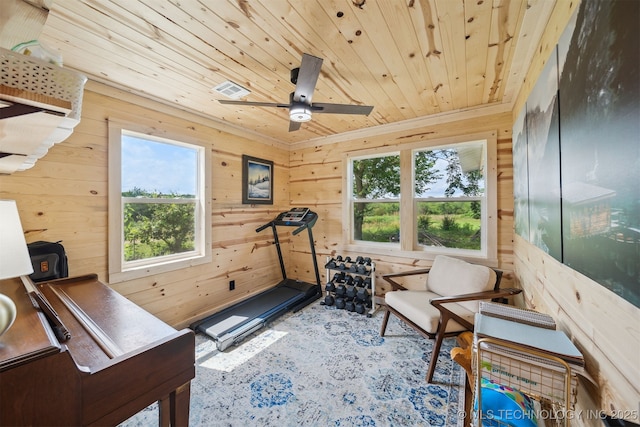 8620 N 155th Rd, Beggs, OK 74421 - exercise room with wooden ceiling, healthy amount of natural light, wooden walls, and ceiling fan