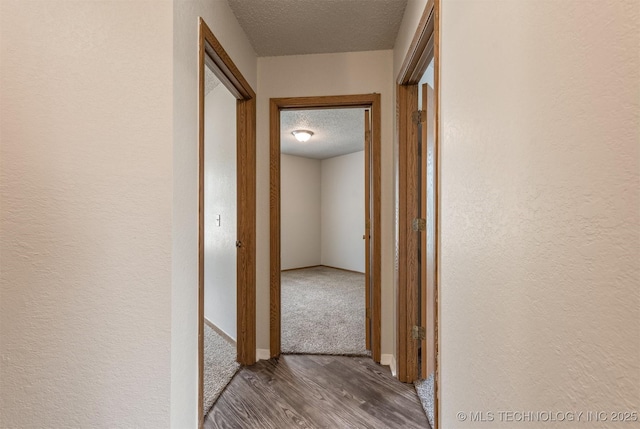 9207 S 92nd E Ave, Tulsa, OK 74133 - hall with a textured ceiling, wood finished floors, a textured wall, and carpet
