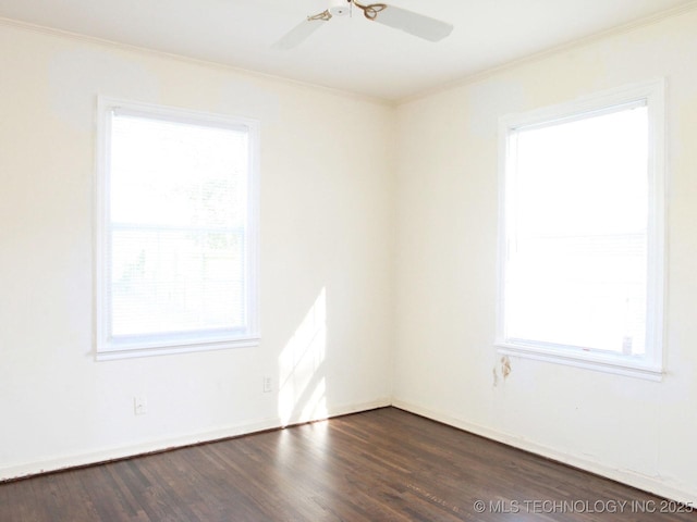 4957 S Cincinnati Ave, Tulsa, OK 74105 - unfurnished room with ornamental molding, plenty of natural light, ceiling fan, and dark wood-type flooring