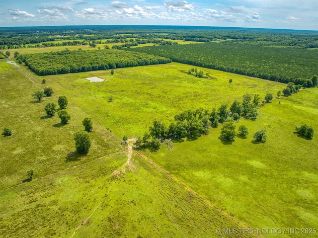 447 Pink Gladiola St, Broken Bow, OK 74745 - overview of rural landscape
