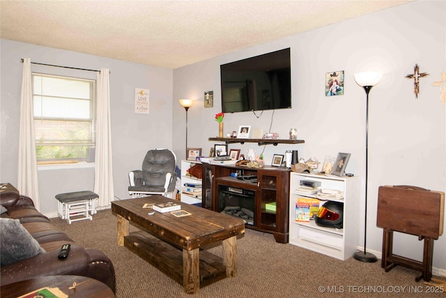 4822 S Bermuda Ave, Sand Springs, OK 74063 - carpeted living area with a textured ceiling