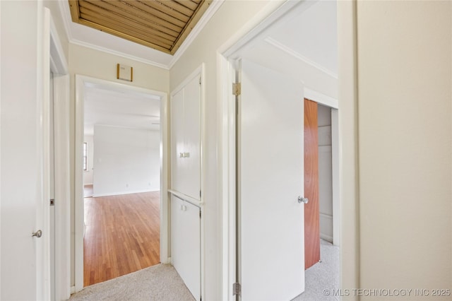 2178 S 76th E Ave, Tulsa, OK 74129 - hallway with crown molding and carpet