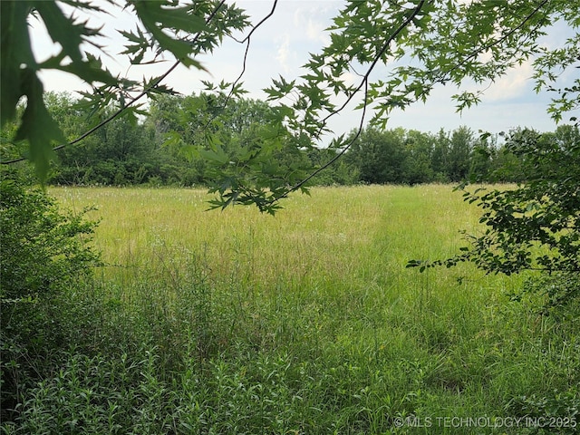 14177 E 590th Rd S, Inola, OK 74036 - view of yard