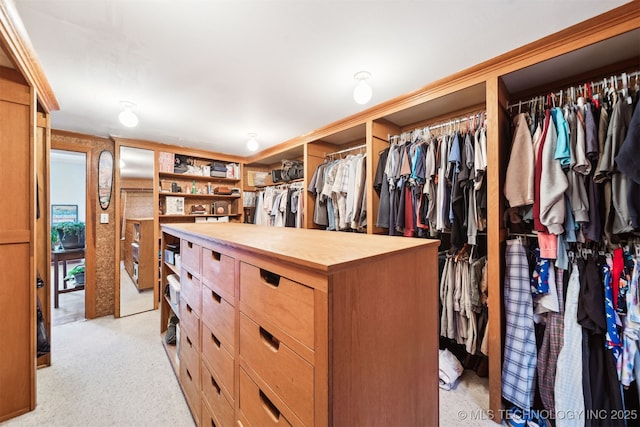 1210 E 15th St, Ada, OK 74820 - walk in closet with light colored carpet