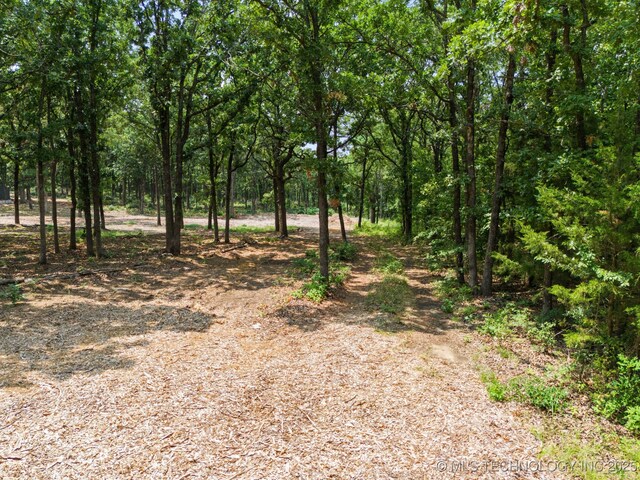 20910 Blackjack Trl, Kellyville, OK 74039 - view of woods