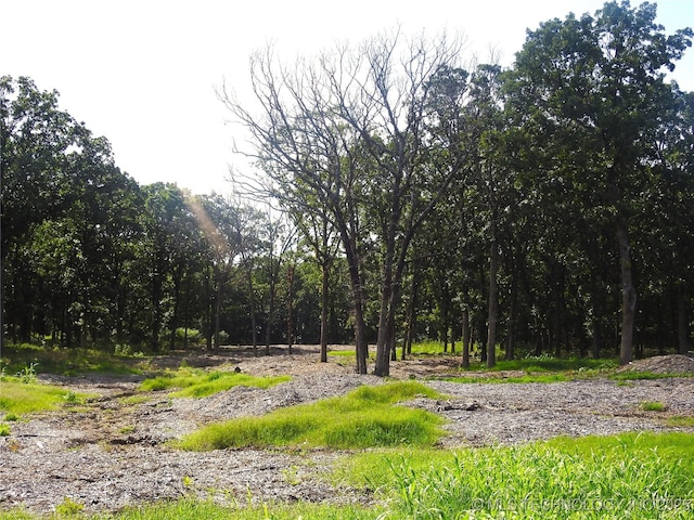 20910 Blackjack Trl, Kellyville, OK 74039 - view of undeveloped land