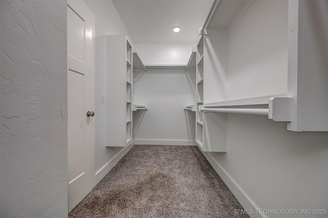 1341 Alvera Ln, Wynnewood, OK 73098 - spacious closet with carpet flooring