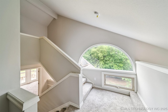 5743 E 72nd Pl Unit 11, Tulsa, OK 74136 - stairs with carpet