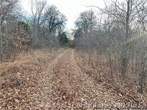 E 1010 Road, Hitchita, OK 74438