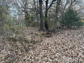 E 1010 Road, Hitchita, OK 74438