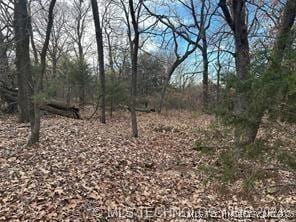 E 1010 Road, Hitchita, OK 74438