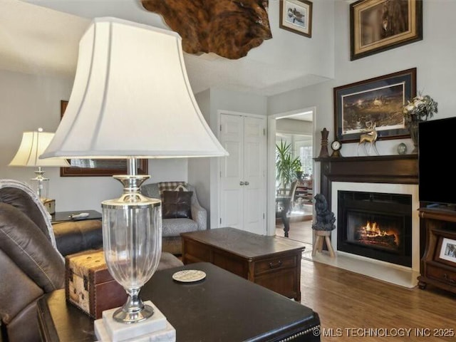 31990 S 624th Pl Unit 48, Grove, OK 74344 - living room featuring a glass covered fireplace and wood finished floors