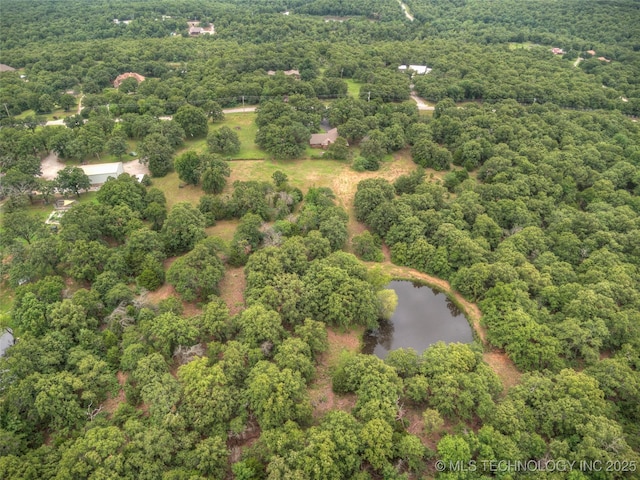 28265 Forest Ridge Rd, Sand Springs, OK 74063 - bird's eye view of a forest and a nearby body of water