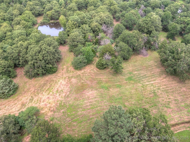 28265 Forest Ridge Rd, Sand Springs, OK 74063 - drone / aerial view of a large body of water