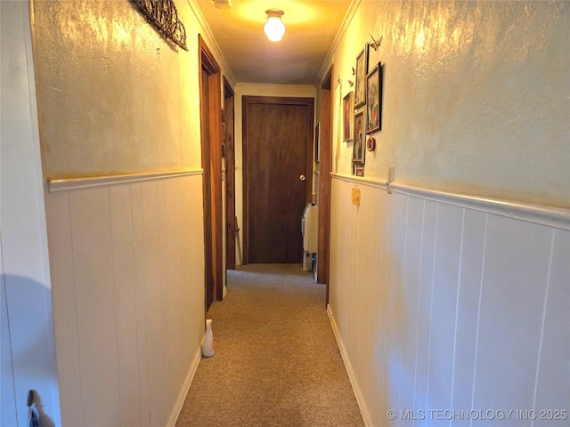 92133 S 4676th Rd, Bunch, OK 74931 - hall with carpet floors, a wainscoted wall, and crown molding