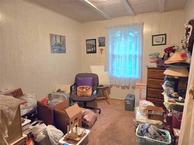 92133 S 4676th Rd, Bunch, OK 74931 - bedroom featuring carpet floors and wood walls