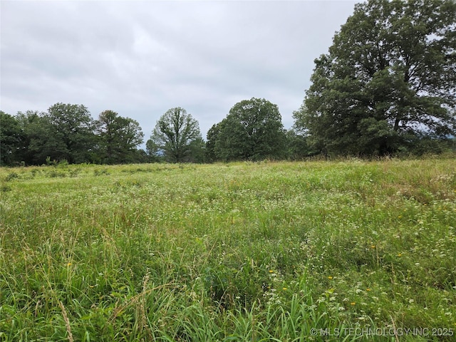 92133 S 4676th Rd, Bunch, OK 74931 - view of local wilderness featuring rural landscape