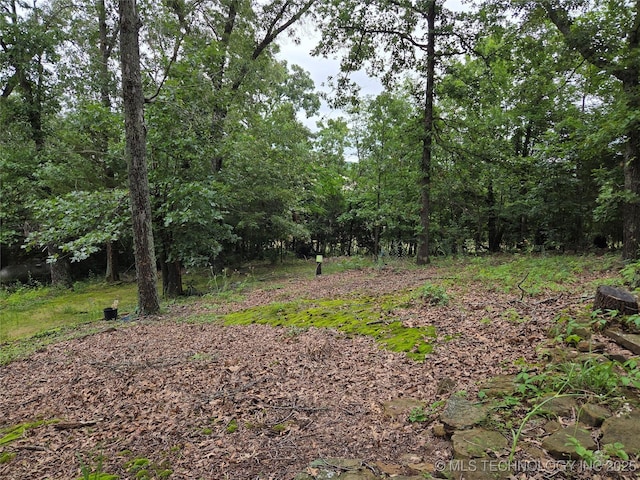 92133 S 4676th Rd, Bunch, OK 74931 - view of tree filled area