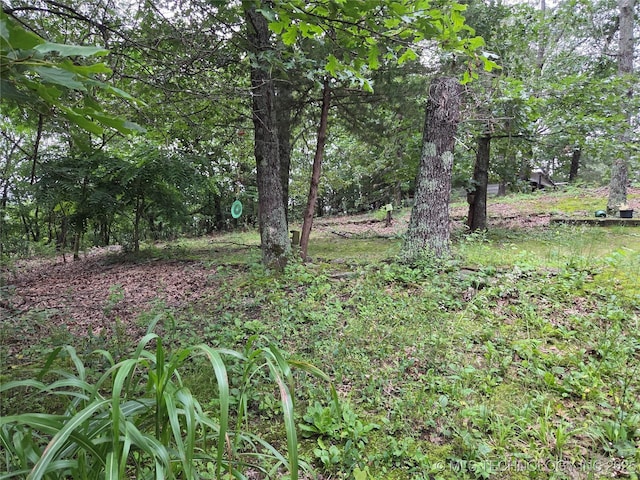 92133 S 4676th Rd, Bunch, OK 74931 - view of yard