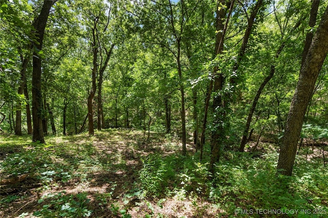 29012 E 63rd St, Broken Arrow, OK 74014 - view of tree filled area