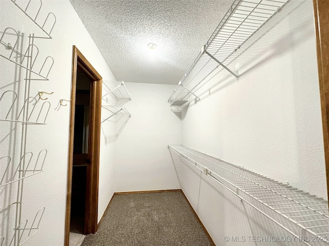 6223 S Cedar Pl, Broken Arrow, OK 74011 - walk in closet featuring carpet