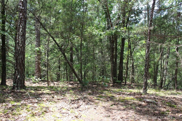 5 E 1909th Rd, Antlers, OK 74523