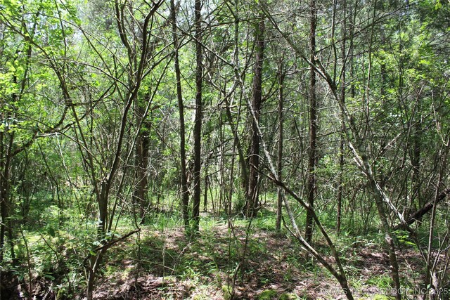 5 E 1909th Rd, Antlers, OK 74523