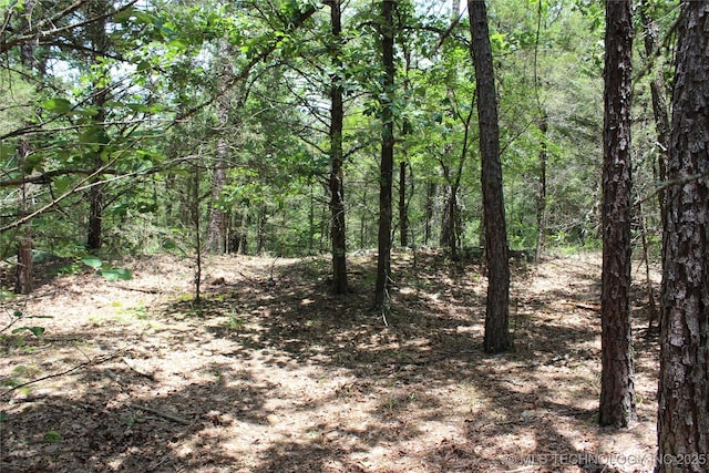 5 E 1909th Rd, Antlers, OK 74523