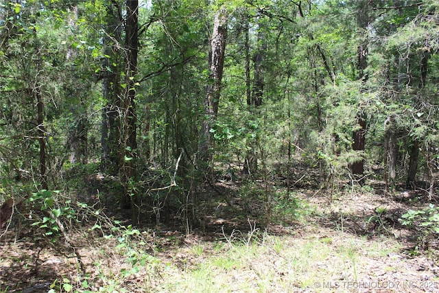 5 E 1909th Rd, Antlers, OK 74523