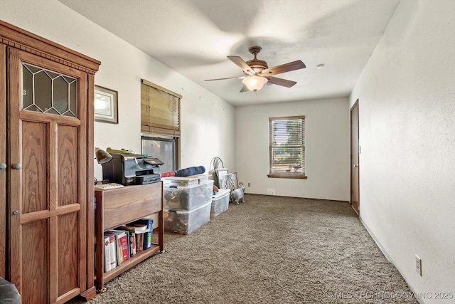 4152 W Oak St, Skiatook, OK 74070 - office space featuring carpet floors and ceiling fan