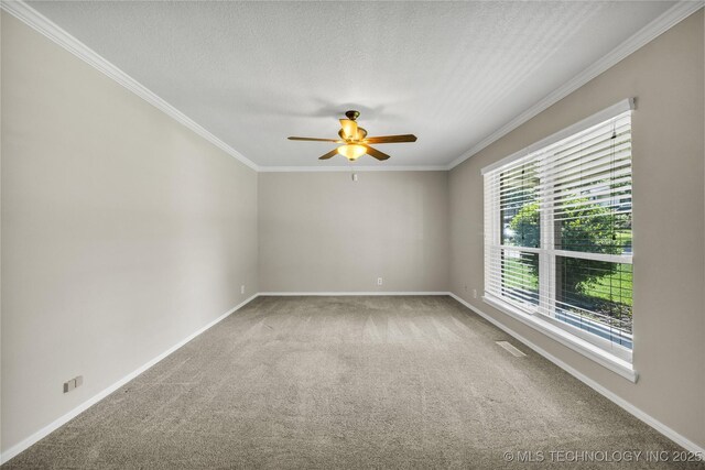 10603 E 99th Pl, Tulsa, OK 74133 - photo 6