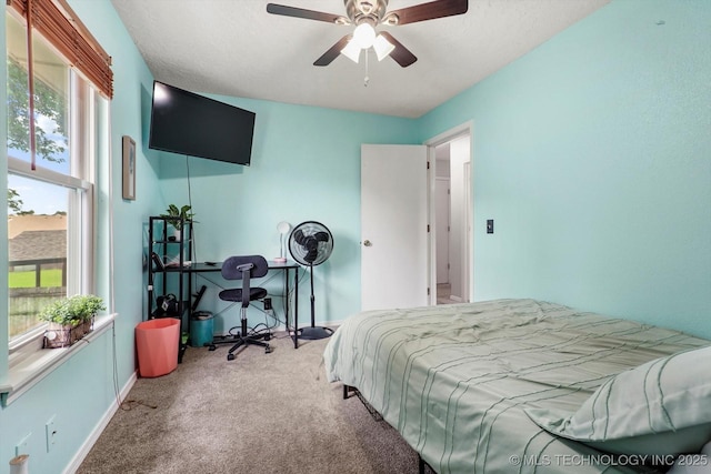 2605 W Atlanta Ct, Broken Arrow, OK 74012 - carpeted bedroom with multiple windows and a ceiling fan