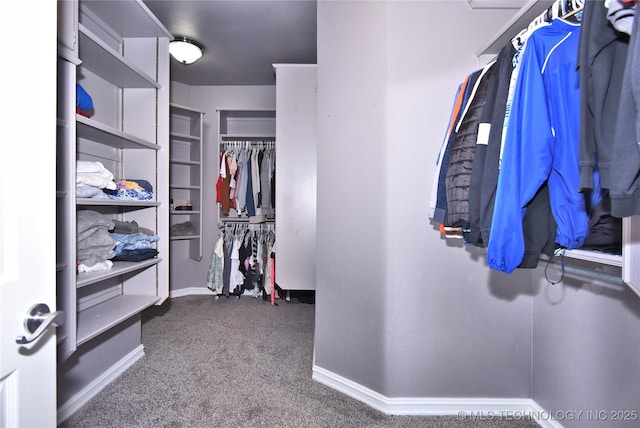 14772 S 212th E Ave, Coweta, OK 74429 - walk in closet with carpet flooring