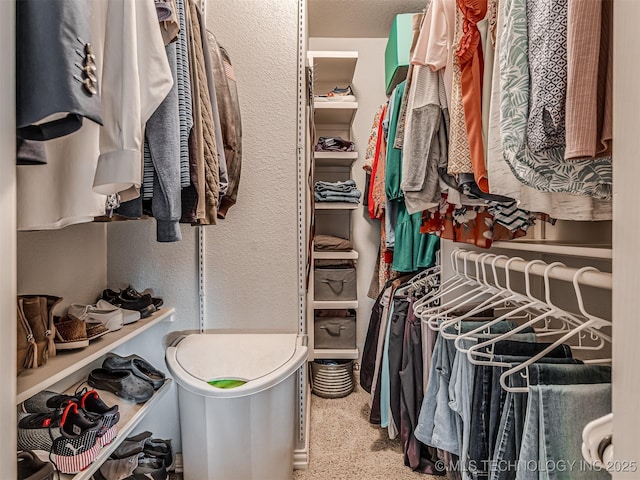 333 Springview Dr, Skiatook, OK 74070 - view of walk in closet