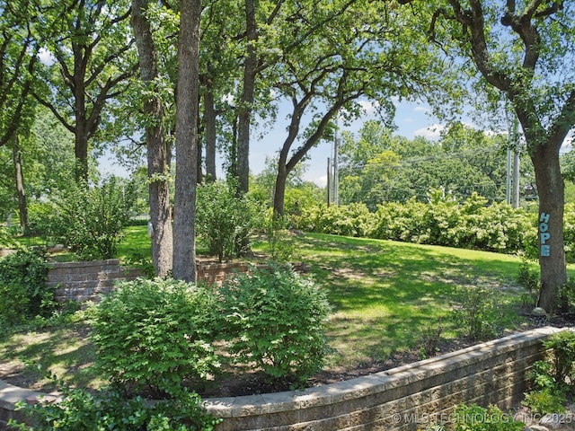 3334 E 100th Pl, Tulsa, OK 74137 - view of grassy yard