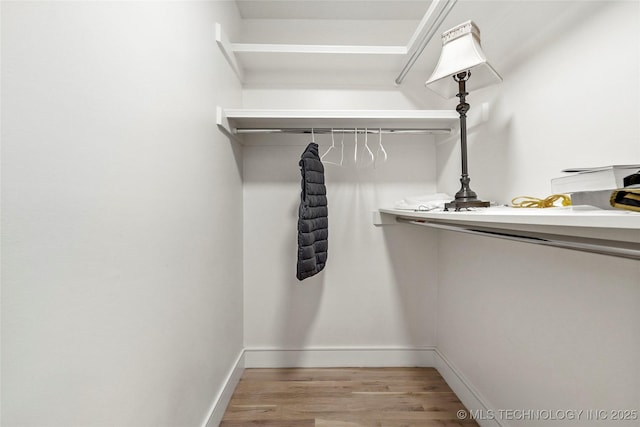 2936 E 75th St, Tulsa, OK 74136 - spacious closet featuring light wood-style flooring