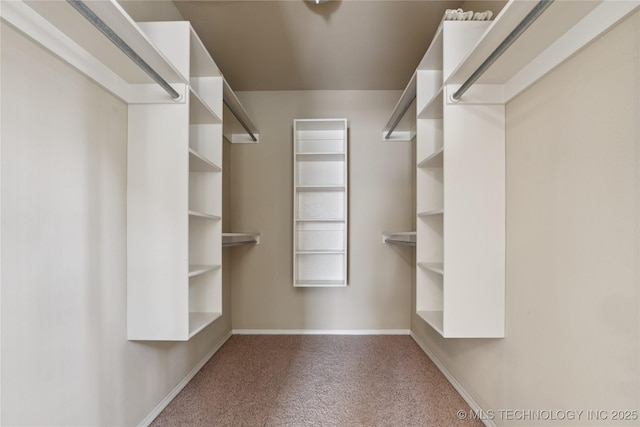 2110 S Javine Ct, Skiatook, OK 74070 - spacious closet with carpet floors