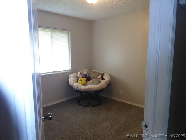 2414 S 126th E Ave, Tulsa, OK 74129 - living area with carpet flooring and a textured ceiling