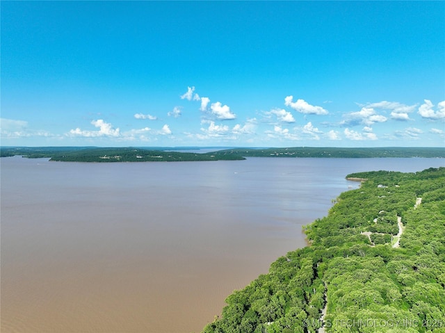 1416 Robin Hood Rd, Eufaula, OK 74432 - water view featuring a heavily wooded area