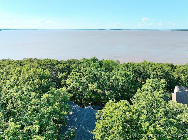 1416 Robin Hood Rd, Eufaula, OK 74432 - drone / aerial view of a large body of water