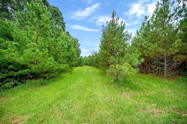 1001 E 1990th Rd, Soper, OK 74759 - view of yard featuring a forest view