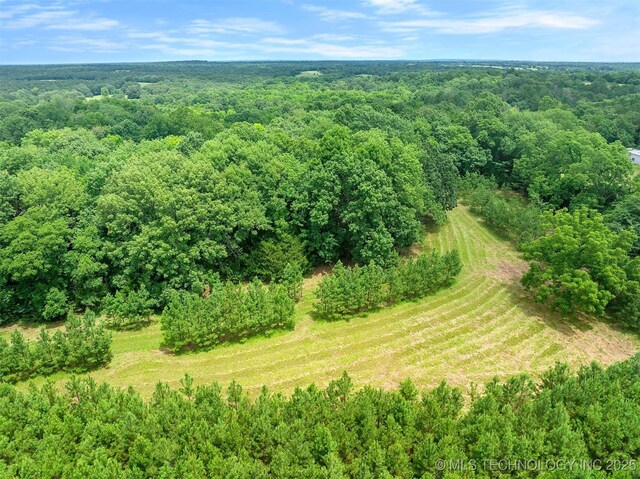1001 E 1990th Rd, Soper, OK 74759 - drone / aerial view of a forest