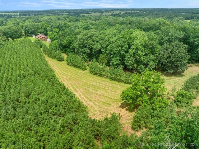 1001 E 1990th Rd, Soper, OK 74759 - drone / aerial view of a forest