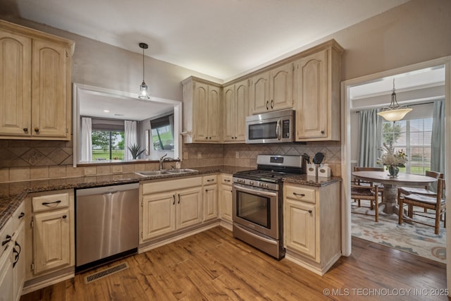 11902 N 150th E Ave, Collinsville, OK 74021 - kitchen with appliances with stainless steel finishes, light wood-type flooring, and healthy amount of natural light
