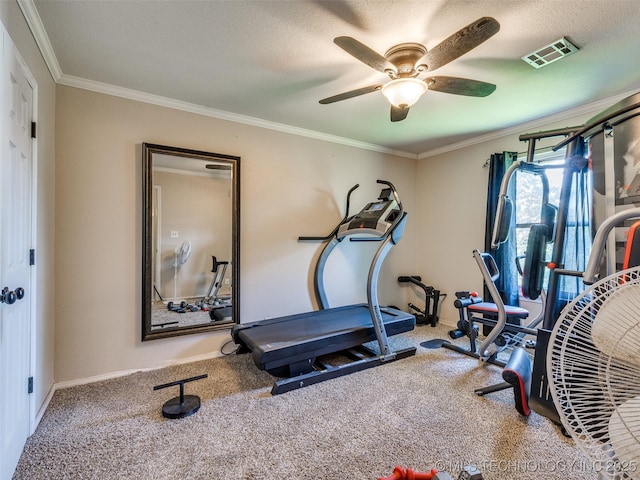 1304 W Kent St, Broken Arrow, OK 74012 - exercise room with carpet, a ceiling fan, crown molding, and a textured ceiling