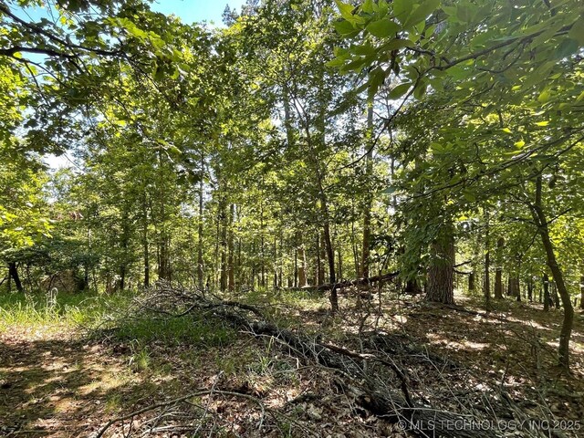1372 Palomino Ln, Kansas, OK 74347 - photo 3