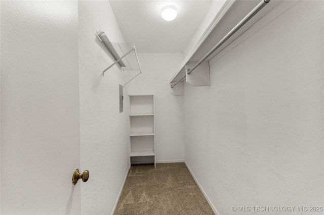 6364 S 80th E Ave Unit 34E, Tulsa, OK 74133 - walk in closet with carpet