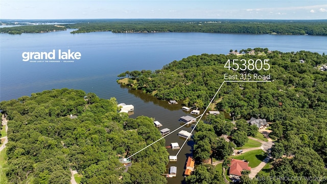 453805 E 315th Rd, Afton, OK 74331 - bird's eye view of a forest and a nearby body of water